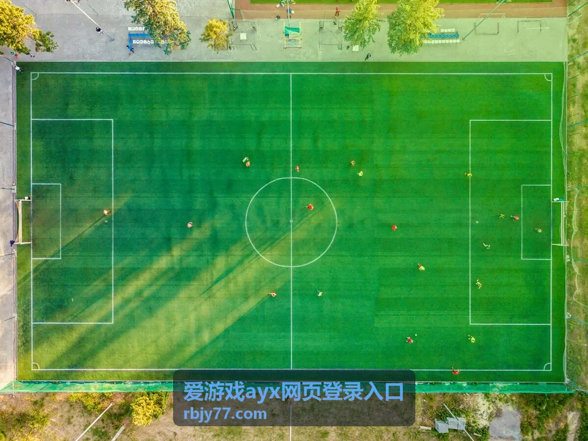 爱游戏ayx网页登录入口步骤示意